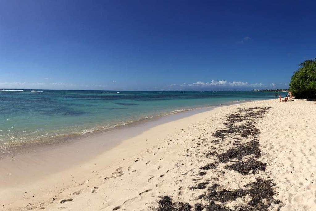 Petite Terre A 50 Metres De La Hébergement de vacances *