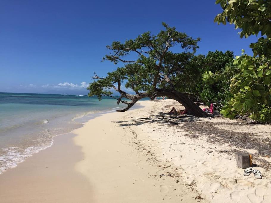 Petite Terre A 50 Metres De La Hébergement de vacances Saint-Francois (Grande-Terre)
