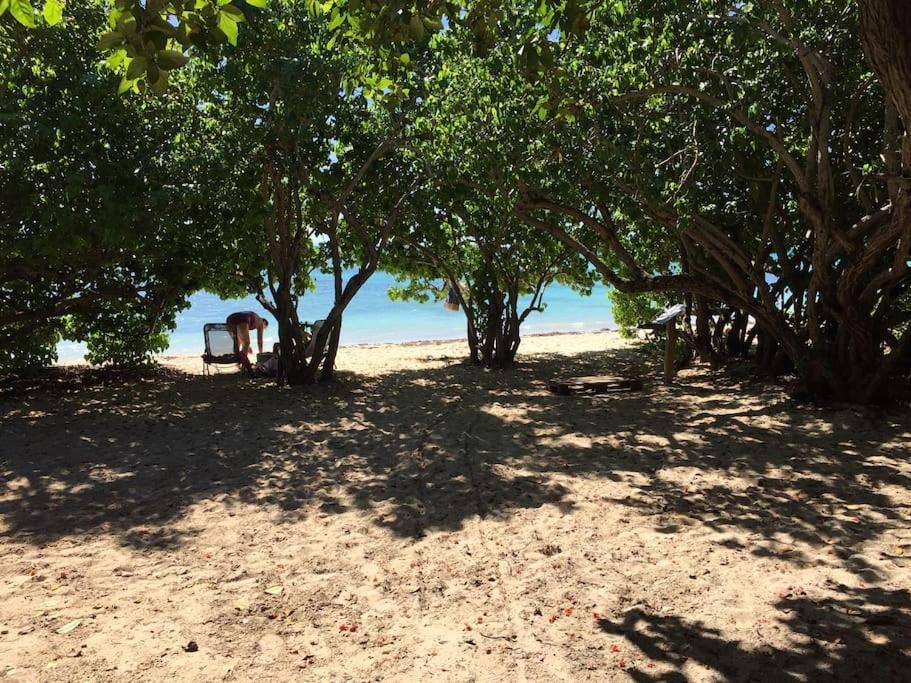 Petite Terre A 50 Metres De La *