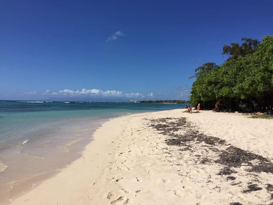 Petite Terre A 50 Metres De La * Saint-Francois (Grande-Terre)