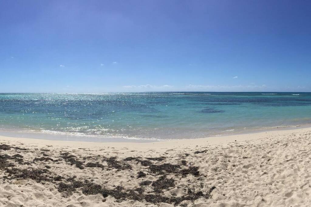 Petite Terre A 50 Metres De La Hébergement de vacances